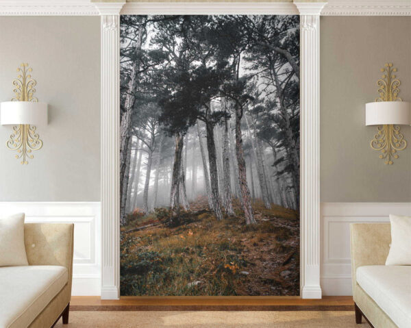 Forest with trees in the fog u12556pig2 600x479 - Forest with trees in the fog - tegory