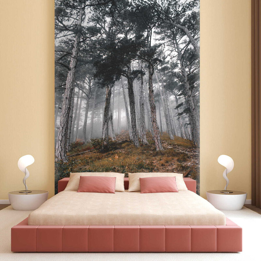 u12556pib1 900x900 - Forest with trees in the fog - tegory