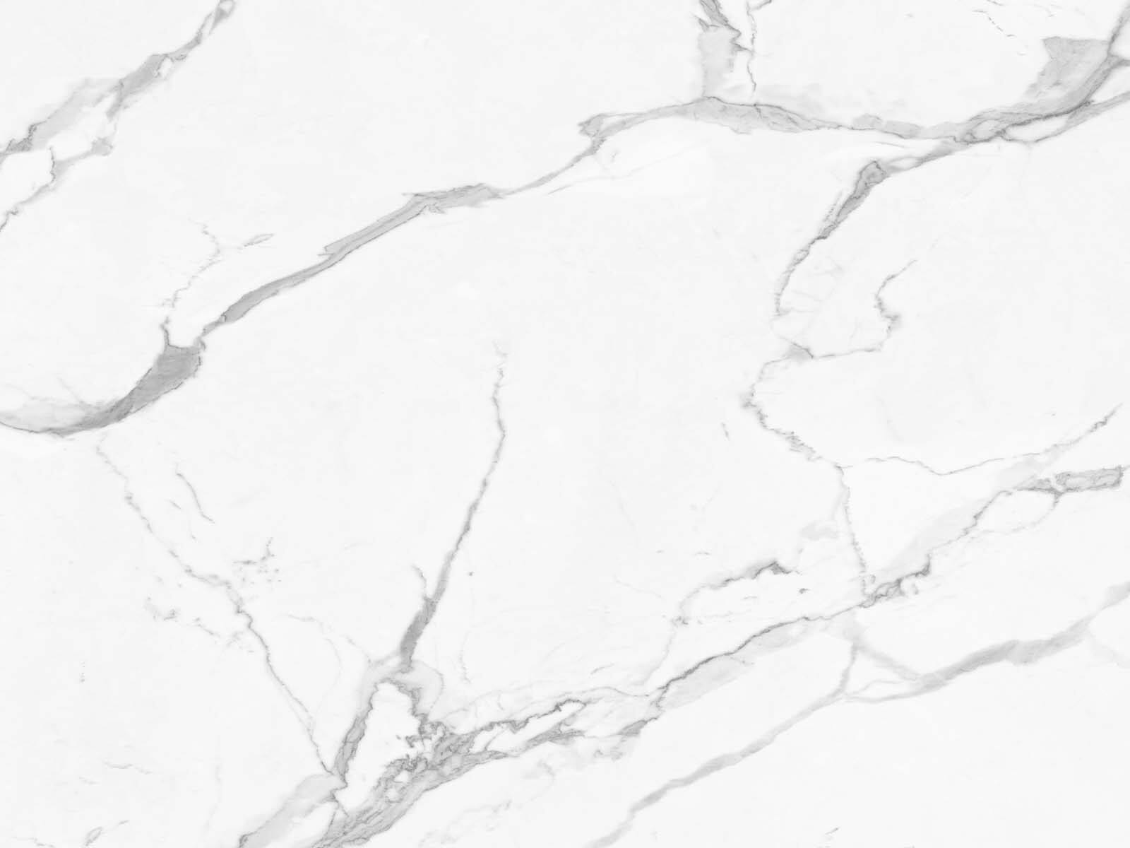 White marble with black veins u12047p - White marble with black veins