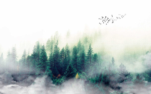 Birds flying over a forest Birds flying over a forest