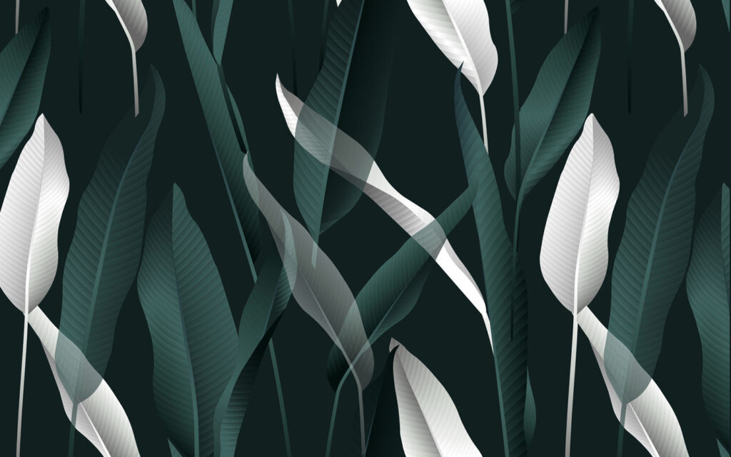 Elegant leaves on a dark backdrop u10347p 1024x640 - Elegant leaves on a dark backdrop