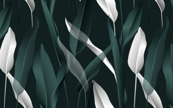 Elegant leaves on a dark backdrop u10347p 600x375 - Elegant leaves on a dark backdrop