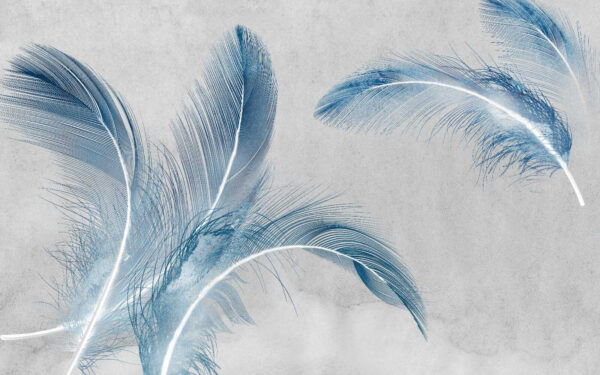 Group of blue feathers Group of blue feathers