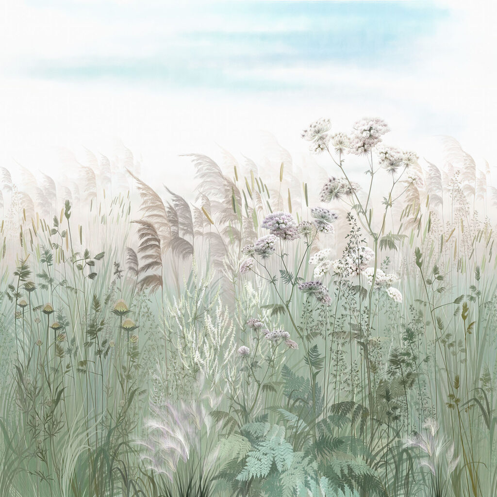 Field of grass and flowers Field of grass and flowers