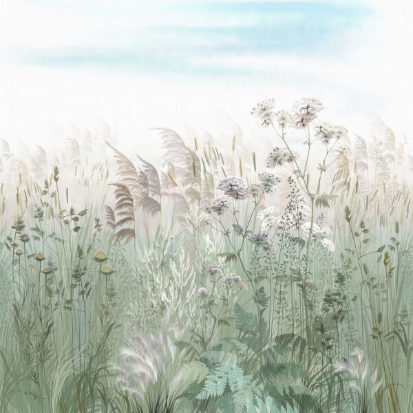 Field of grass and flowers Field of grass and flowers