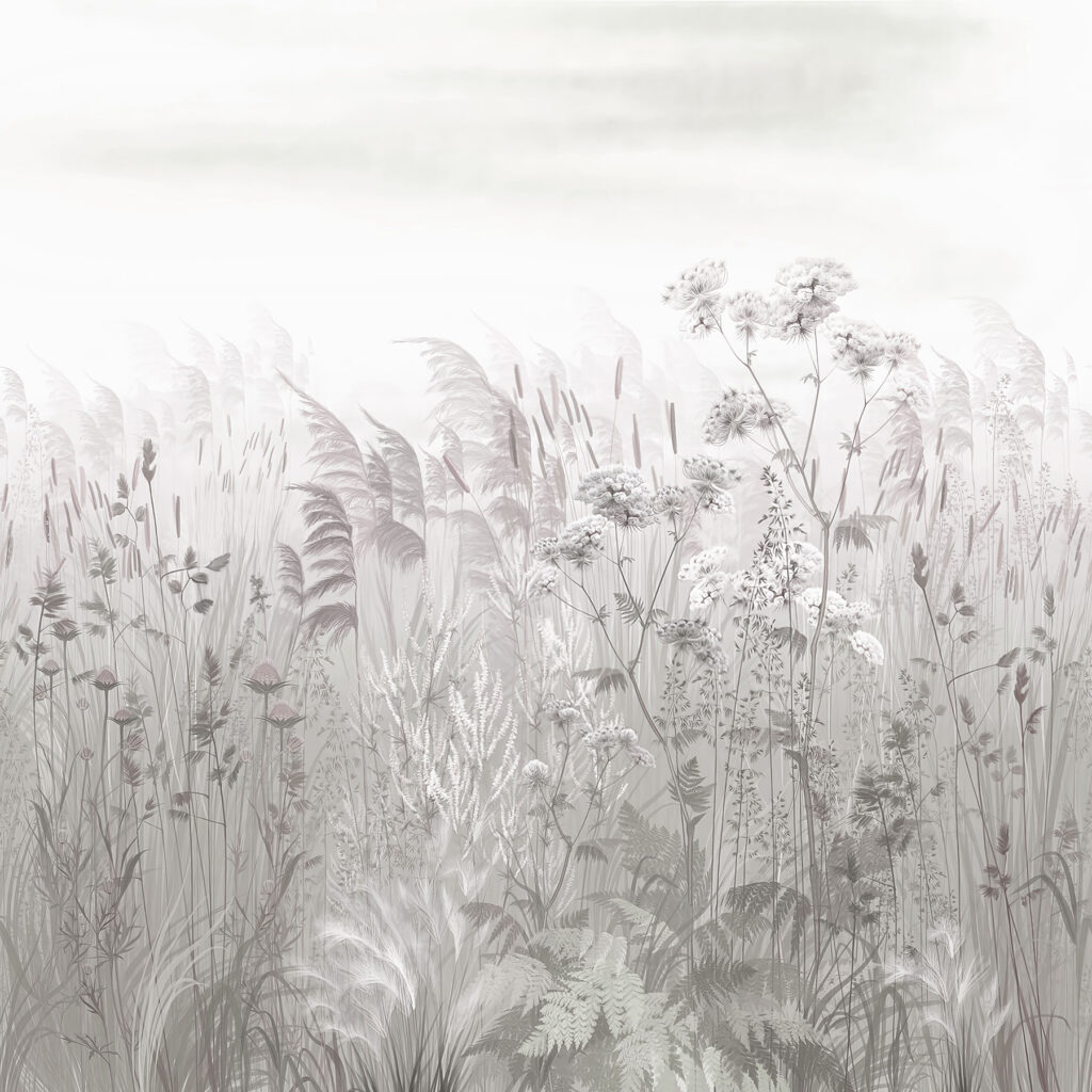 Field of grass and flowers Field of grass and flowers