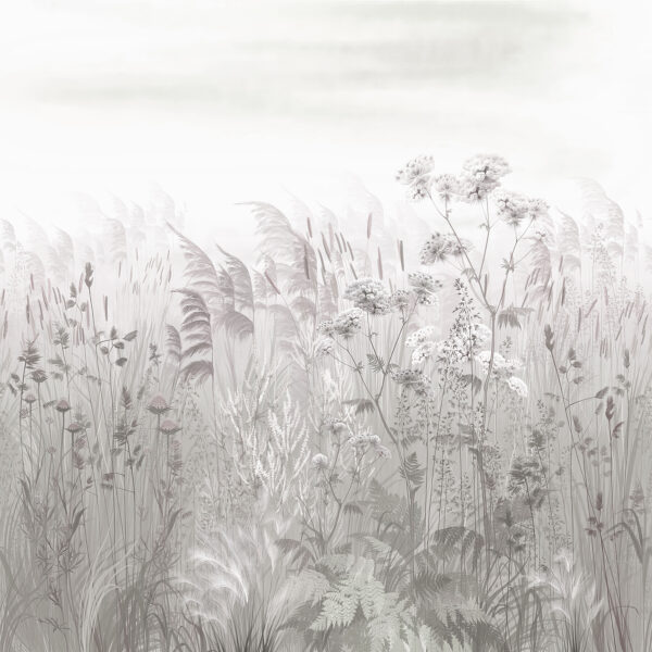 Field of grass and flowers Field of grass and flowers