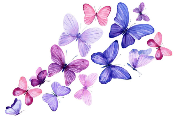 Group of butterflies flying Group of butterflies flying