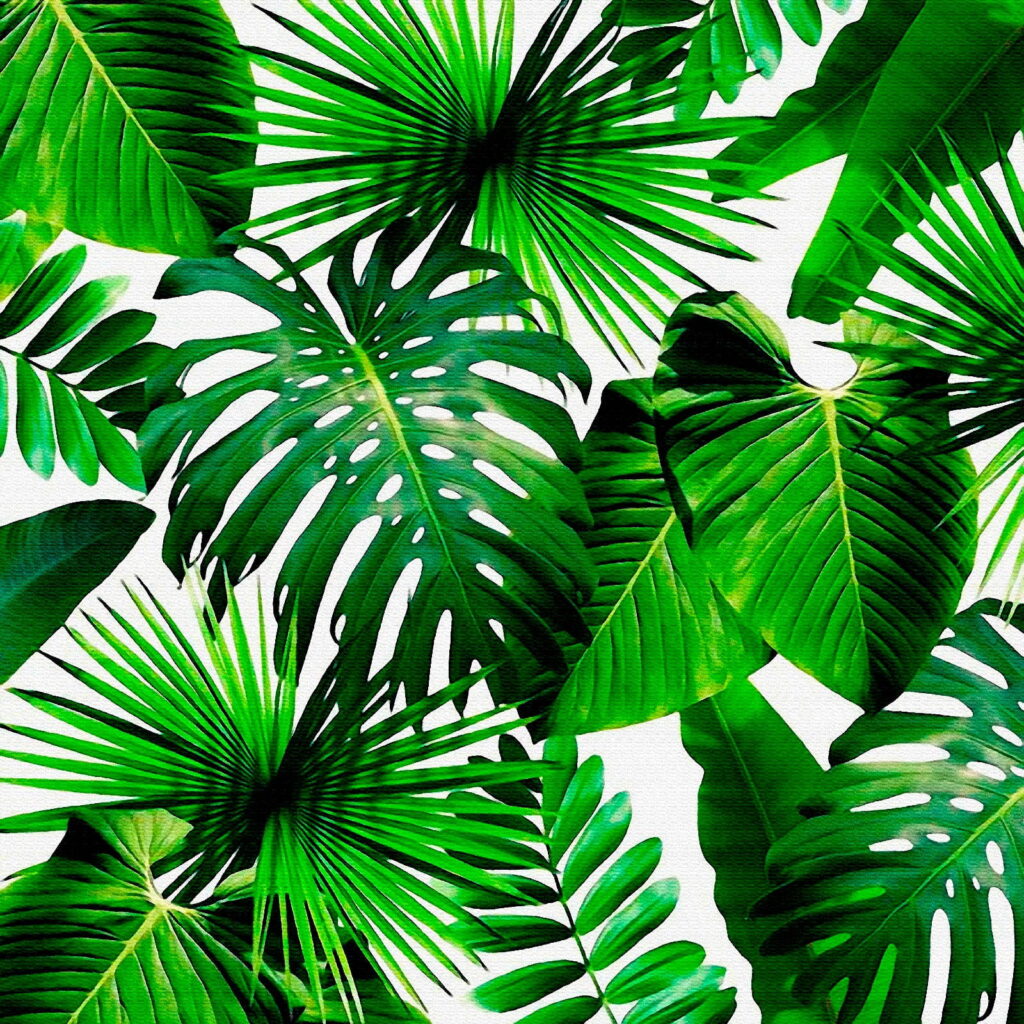 Group of green leaves Group of green leaves