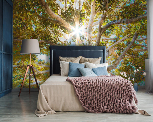 Majestic tree in radiant sunlight u01271pib87 600x480 - Majestic tree in radiant sunlight - tegory