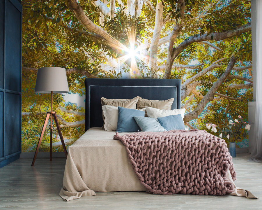 u01271pib87 900x720 - Majestic tree in radiant sunlight - tegory