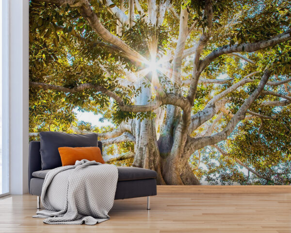 Majestic tree in radiant sunlight u01271pig25 600x480 - Majestic tree in radiant sunlight - tegory