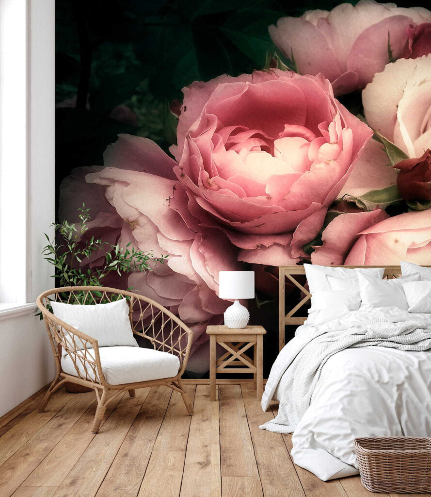 Group of pink and white roses