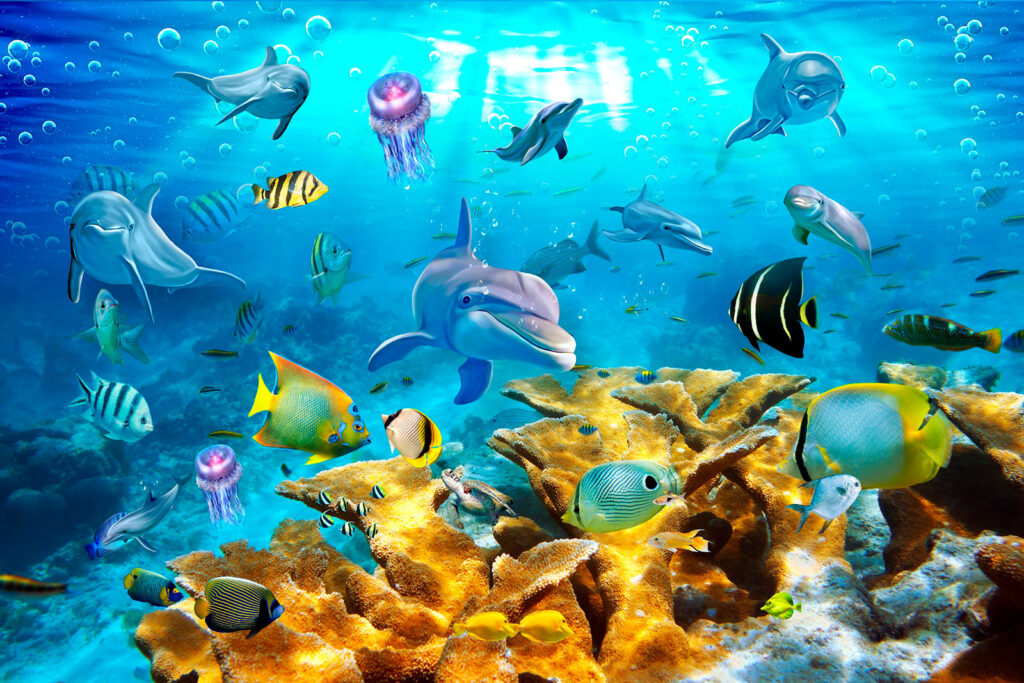 Group of fish swimming in the water u05625p 1024x683 - Group of fish swimming in the water - tegory
