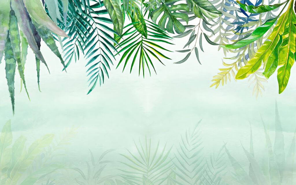 Group of leaves on a white background u02715p 1024x640 - Group of leaves on a white background - tegory