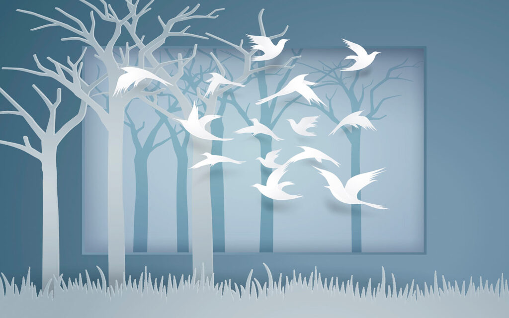 Paper cut out of birds flying in the air u05511p 1024x640 - Paper cut out of birds flying in the air - tegory