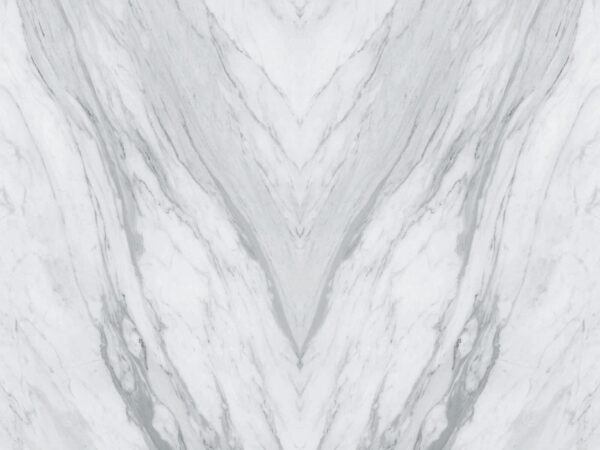 White marble surface with black veins White marble surface with black veins