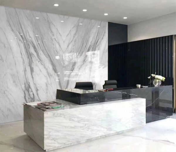 White marble surface with black veins White marble surface with black veins