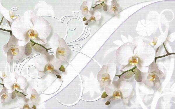 Delicate orchids in soft hues u04707p 600x375 - Delicate orchids in soft hues - tegory