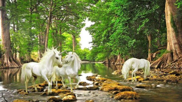 Group of white unicorns in a river u05099p 600x338 - Group of white unicorns in a river - tegory