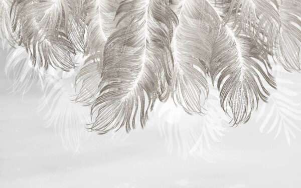 Delicate feathers in soft hues u04973p 600x375 - Delicate feathers in soft hues - tegory
