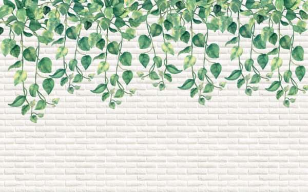 White brick wall with green leaves u06501p 600x375 - White brick wall with green leaves - tegory