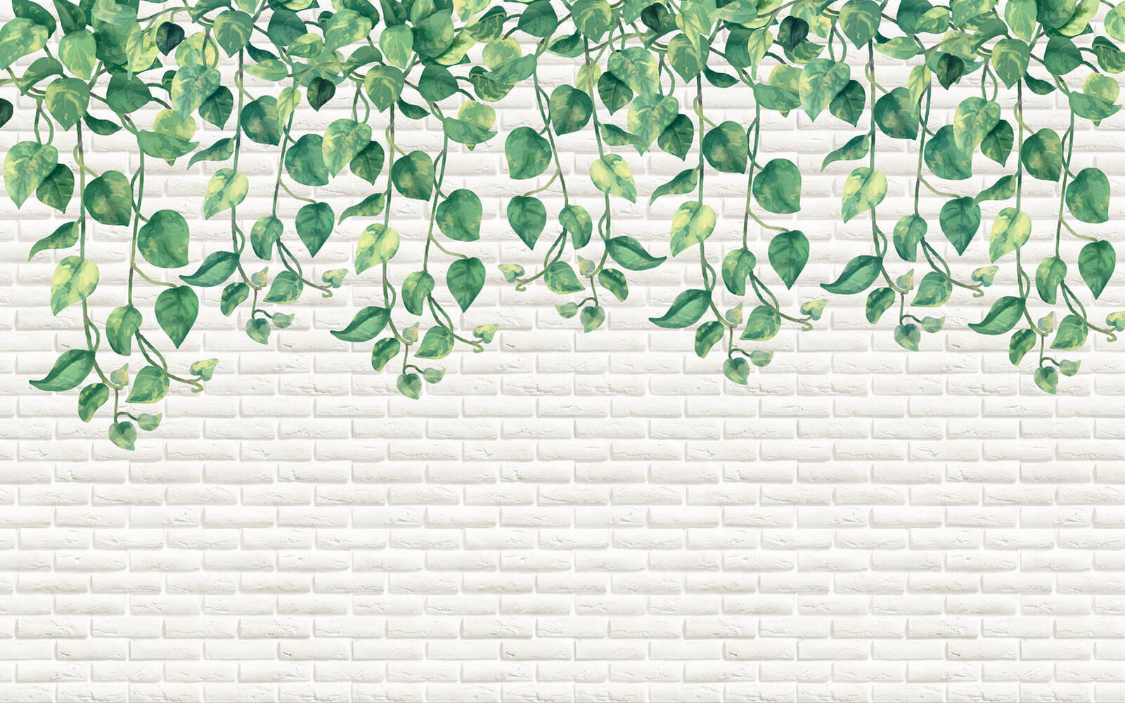 White brick wall with green leaves u06501p - White brick wall with green leaves - tegory