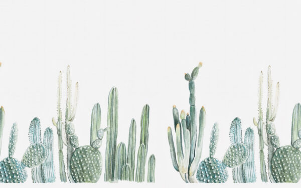 Group of cactuses on a white background Group of cactuses on a white background