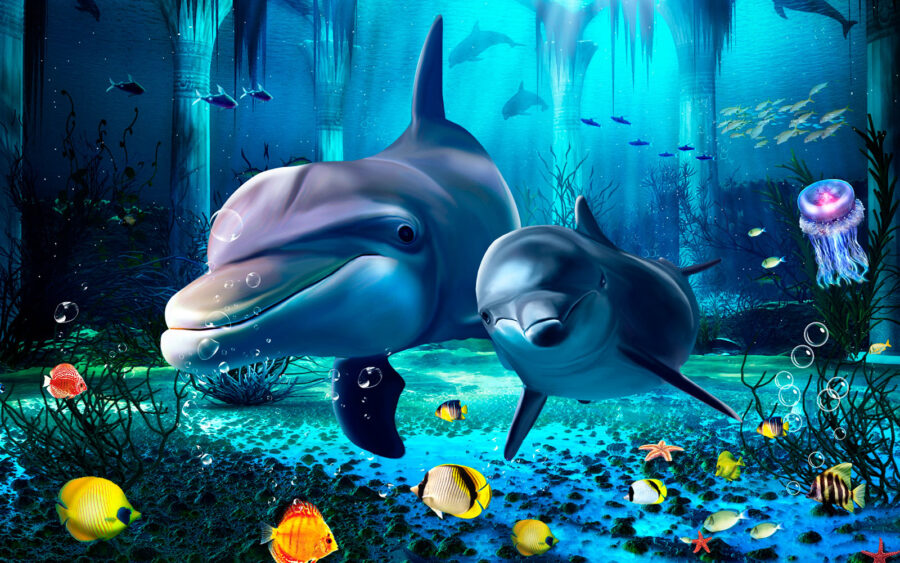 u09688p 900x563 - Couple of dolphins swimming in a sea - tegory