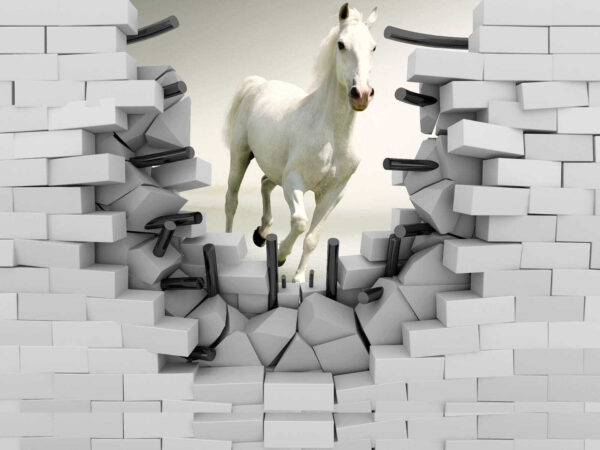 Horse running through a wall Horse running through a wall