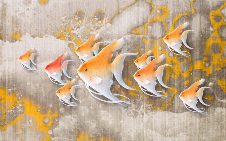 u14995p 900x563 - Colorful fish swimming together gracefully. - tegory