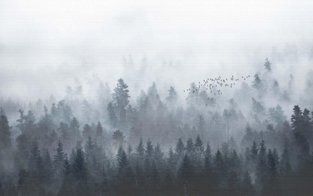 Group of birds flying over a forest u16629p 1024x640 - Group of birds flying over a forest - tegory