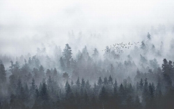 Group of birds flying over a forest u16629p 600x375 - Group of birds flying over a forest - tegory