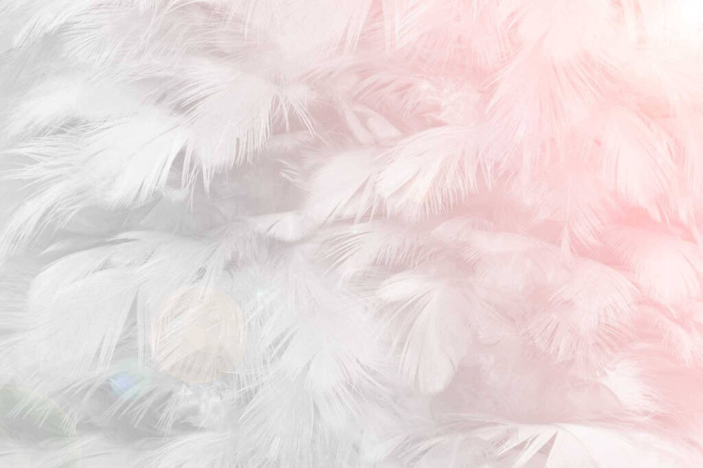 Delicate feathers in soft pastel tones. Delicate feathers in soft pastel tones.