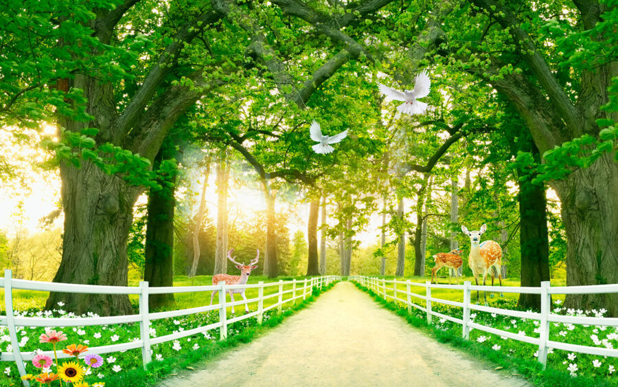 Path with trees and a white fence and deer