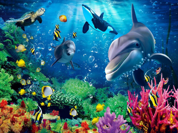 Group of fish swimming in the water Group of fish swimming in the water