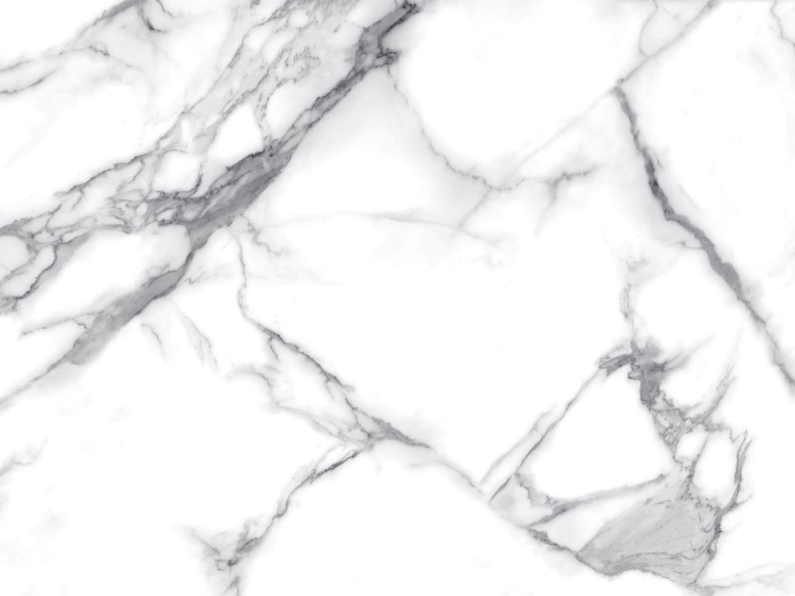 White marble with black veins u19476p - White marble with black veins - tegory