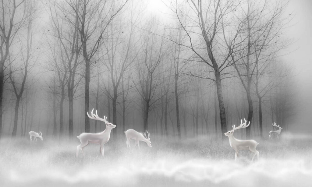 Group of white deer in a foggy forest u19701p 1024x614 - Group of white deer in a foggy forest - tegory