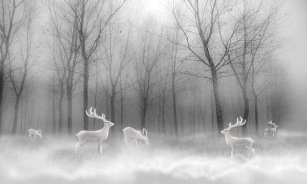 Group of white deer in a foggy forest u19701p 600x360 - Group of white deer in a foggy forest - tegory