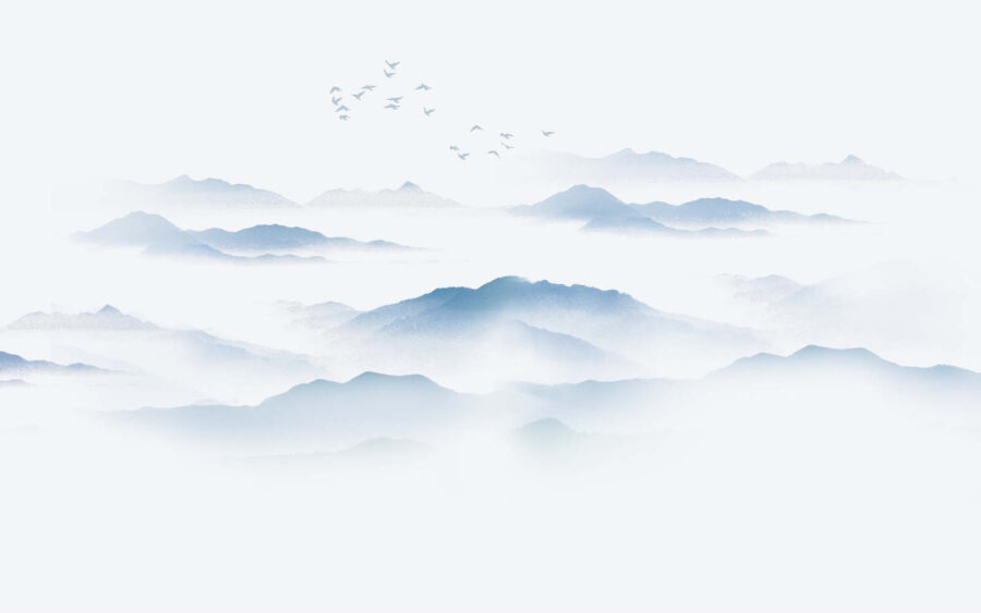 Birds flying over a foggy mountain range