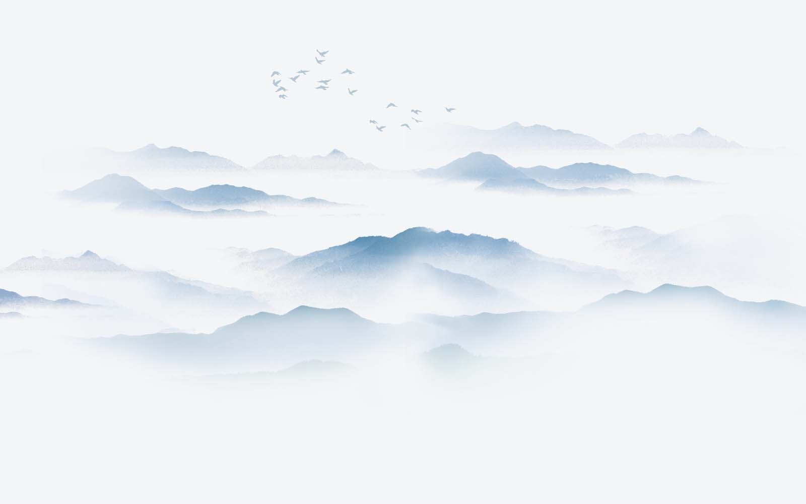 Birds flying over a foggy mountain range u23252p - Birds flying over a foggy mountain range - tegory