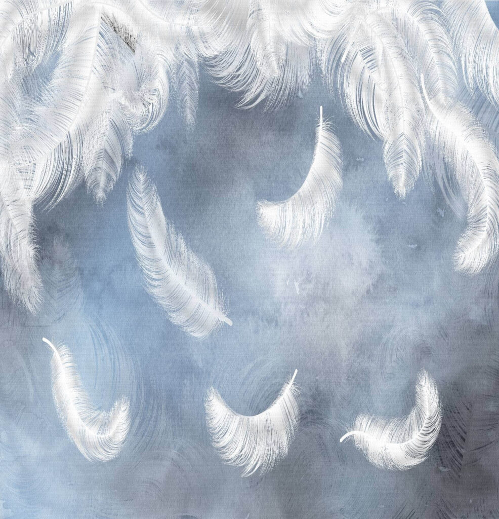 White feathers on a blue background u23747p 986x1024 - White feathers on a blue background - tegory