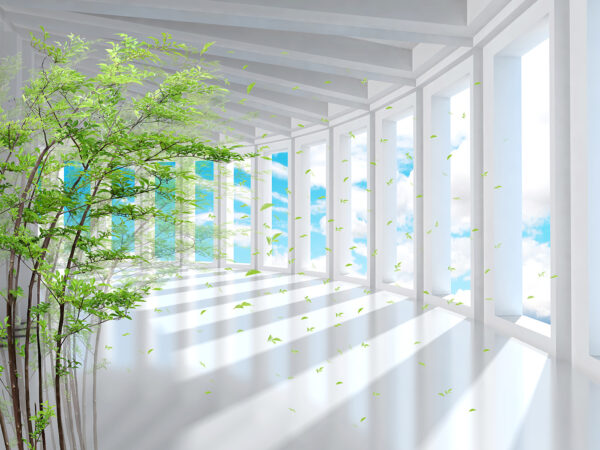 Tree in a room with windows u29922p 600x450 - Tree in a room with windows