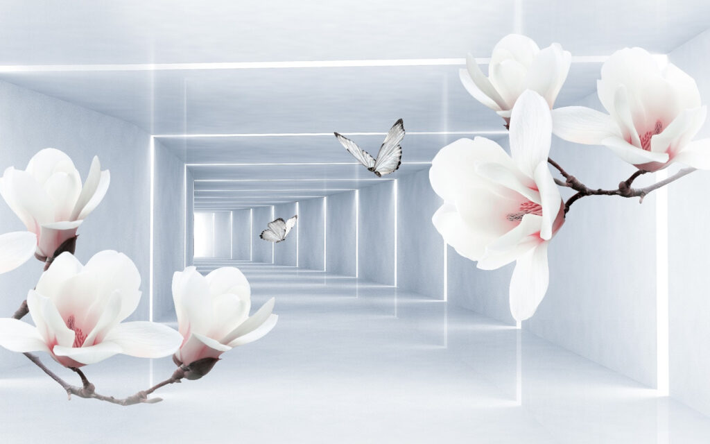 White flowers and butterflies in a room u35047p 1024x640 - White flowers and butterflies in a room - tegory