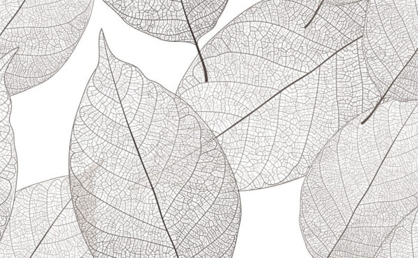 Delicate leaf patterns in white space u35136p 600x371 - Delicate leaf patterns in white space - tegory