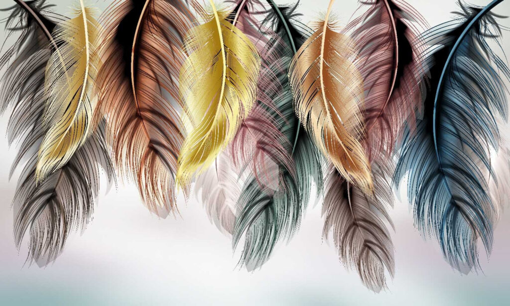 Group of colorful feathers Group of colorful feathers