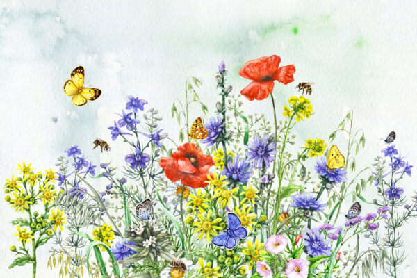Painting of flowers and butterflies Painting of flowers and butterflies