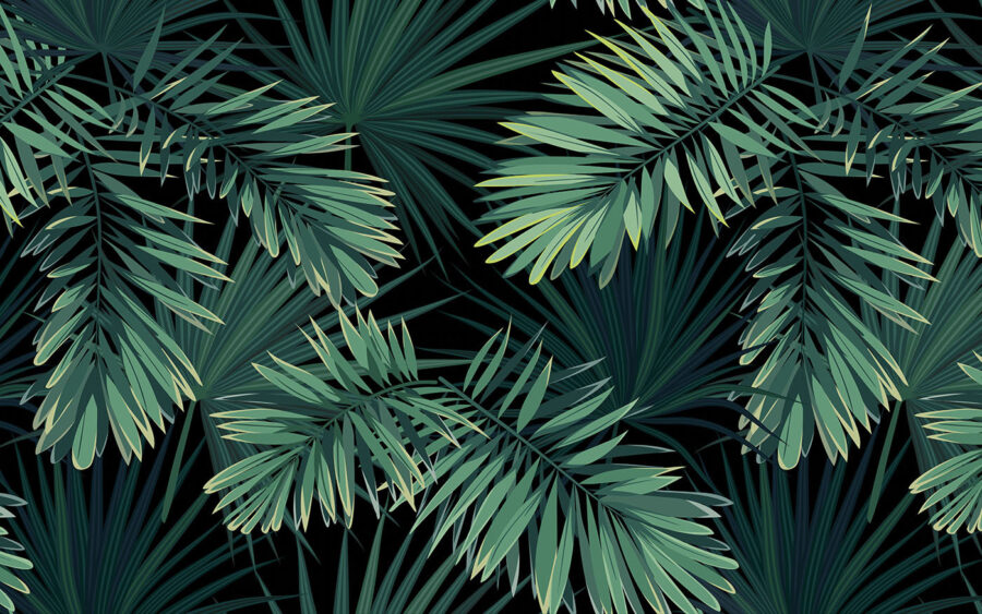 Tropical leaves on a dark background.