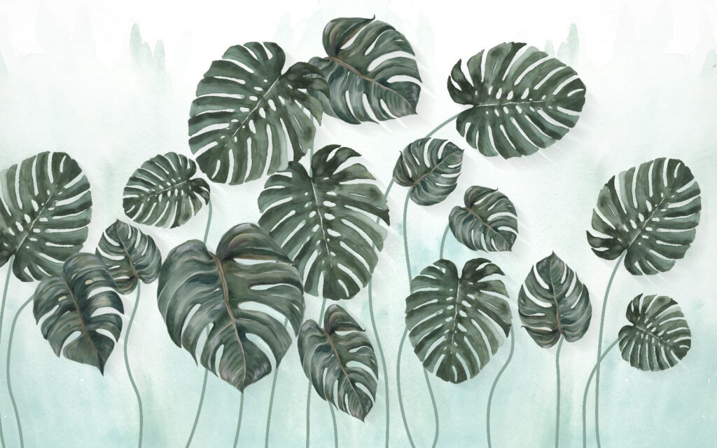 Group of leaves on a white background u43436p 1024x639 - Group of leaves on a white background - tegory
