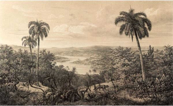 Landscape with trees and a river u52439p 600x369 - Landscape with trees and a river - tegory